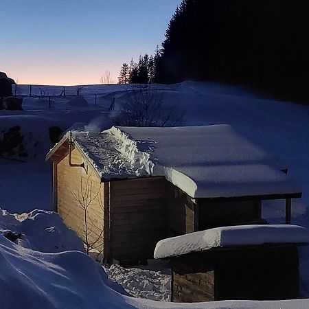 Petit Chalet Nature Les Rousses Esterno foto